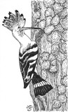 by Marianna Di Santo
