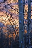 by Pamela Tweton