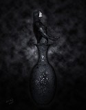 by anna bird