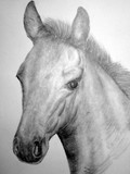 by donald penwell