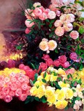 by Li Bo