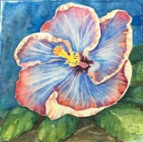 by Ingrid Kolster