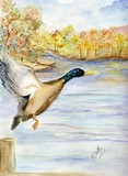 by Margaret Platt