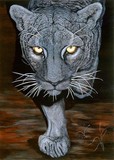 by Doni Kendig