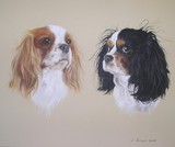 by Joanne Simpson-Connor