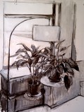 by Stefanie Sylvester