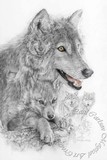 by Steven Paul Carlson