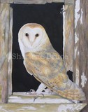 by Sharlene Bruce