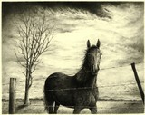 by richard klingbeil