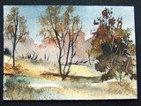 by Brenda Cumming