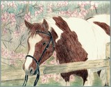by Nikki Phipps