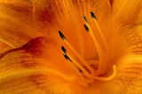 by Greg Summers