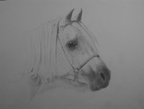 by Debbie Byess