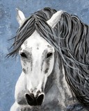 by Wendi Evans