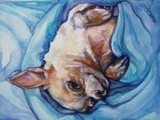 by michelle legere