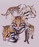 by Barbara Keith