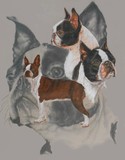by Barbara Keith