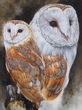 by Barbara Keith