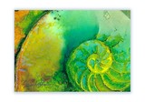 by Kathy Morton-Stanion