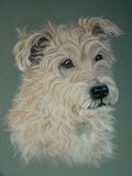 by Sue Clinker