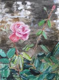 by Sharon De Vore