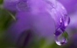 by Wayne Combridge 
