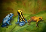by Becky Jackimiec