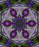 by Sharon Simmons