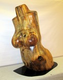 by Jerry Tate