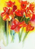 by ans hageman