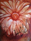 by Chelsea Davis