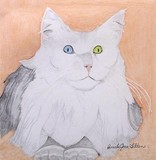 by Pamela Tilden