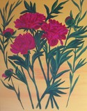 by Elizabeth Janus