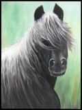 by Louise Doran