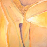 by amira seltzer