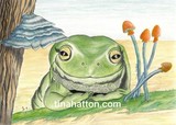 by Tina Hatton
