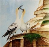 by Jan Howlett