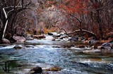 by Justin Shrum