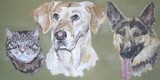 by Jennifer Krueger