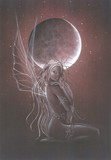 by Jessica Galbreth