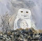 by Tami Booher