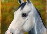by Sharon Herbert