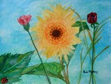 by Paula Maybery