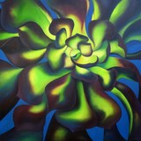 by Schuyler Rideout