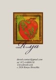 by ronya shvachka