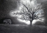 by Natile Jacques