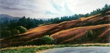 by Geta Hershberger