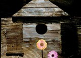by brigette hollenbeck