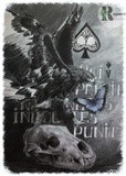 by Julia Kravets