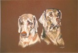 by Margie Gilligan